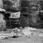 MEREM:1977.234